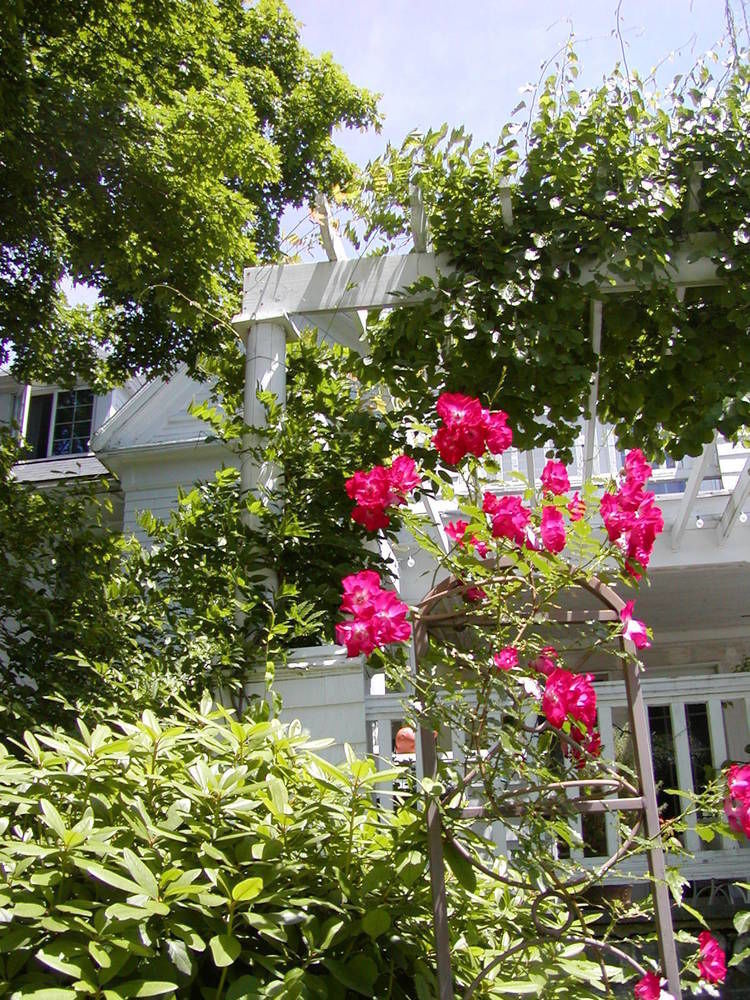 Sudbury Arabian Horse Inn מראה חיצוני תמונה